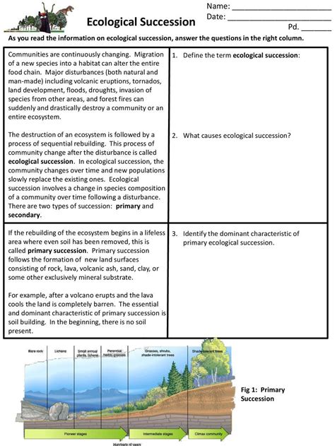 primary and secondary succession worksheet answer key